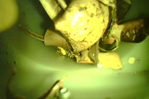Upload Problem