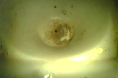 Upload Problem