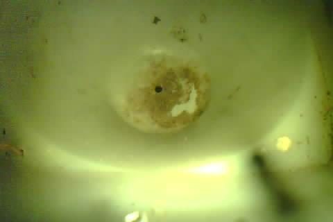 Upload Problem