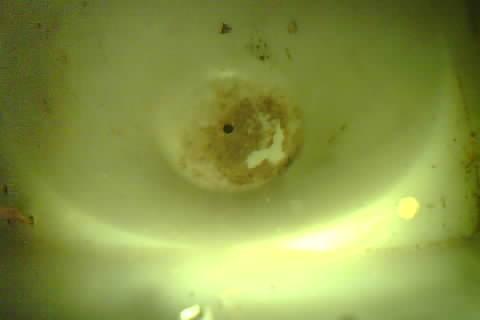 Upload Problem