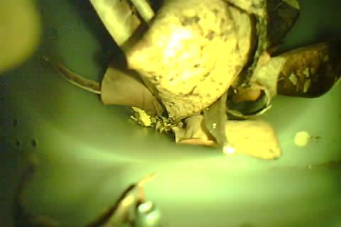 Upload Problem