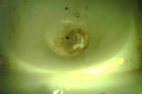 Upload Problem