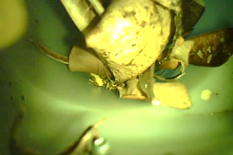 Upload Problem