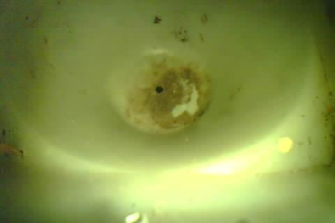Upload Problem