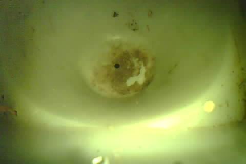 Upload Problem