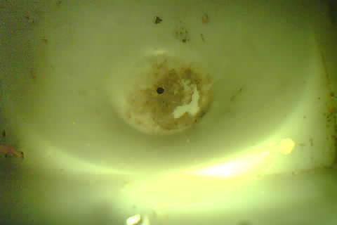 Upload Problem