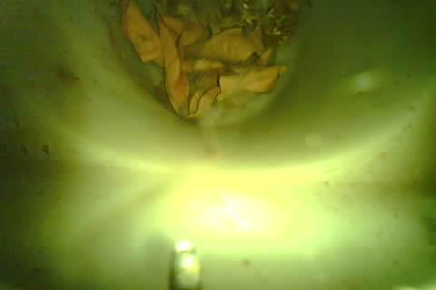 Upload Problem