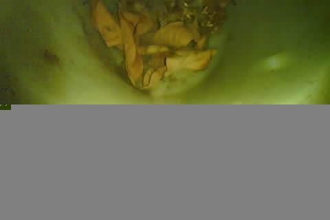 Upload Problem
