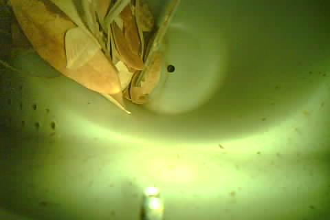 Upload Problem