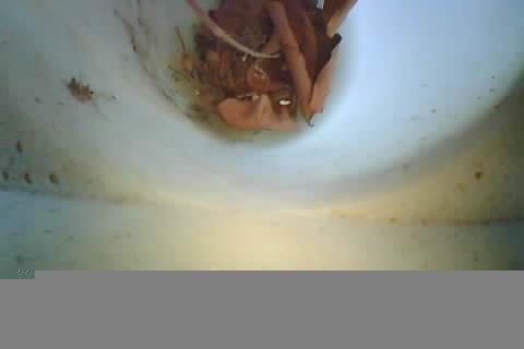 Upload Problem