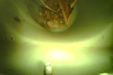 Upload Problem
