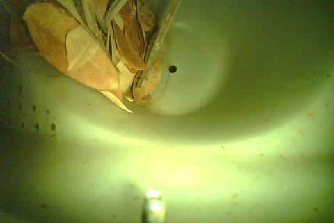 Upload Problem