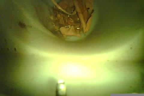 Upload Problem