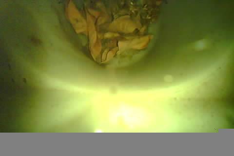 Upload Problem
