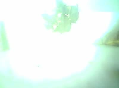 Upload Problem