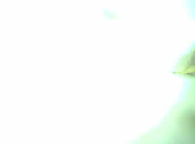 Upload Problem