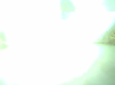 Upload Problem