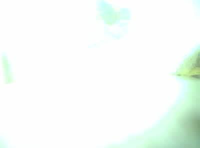 Upload Problem