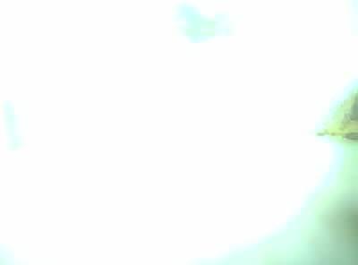 Upload Problem