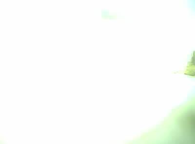 Upload Problem