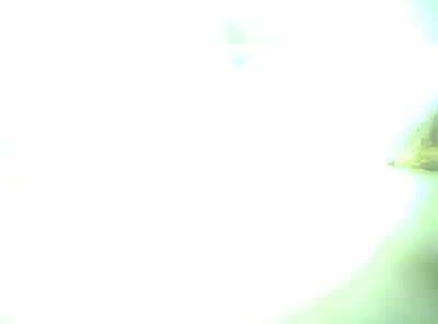 Upload Problem