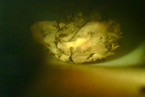 Upload Problem