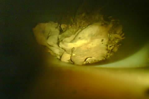 Upload Problem