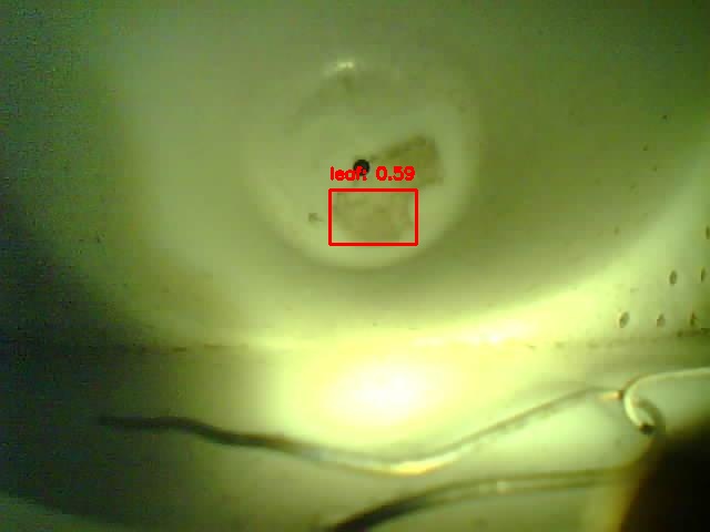 Upload Problem