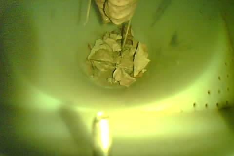Upload Problem