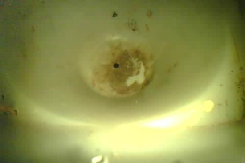 Upload Problem