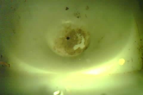 Upload Problem